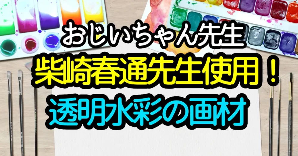 ホルベイン 透明水彩 柴崎春通24色セット - アート用品